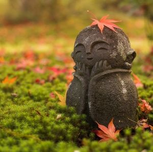 Meet your Posher Lana 🌼